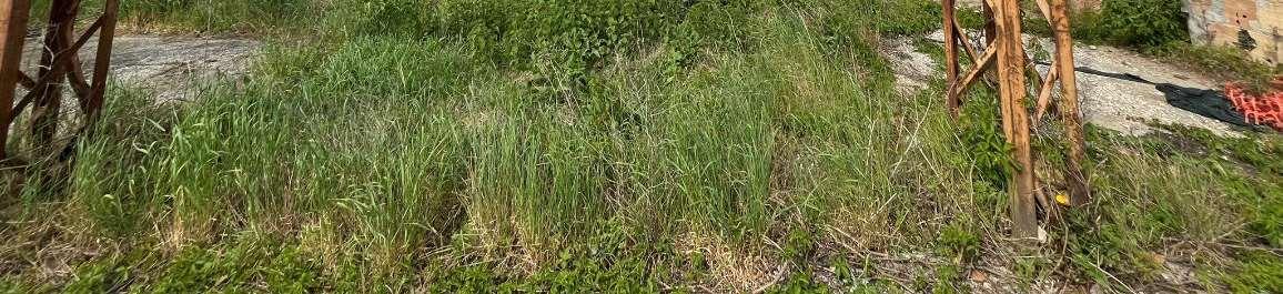 immobile magazzino all'asta in Loc Stretti, Via Ancilotto, 24 - 30020 Eraclea (VE) - 2