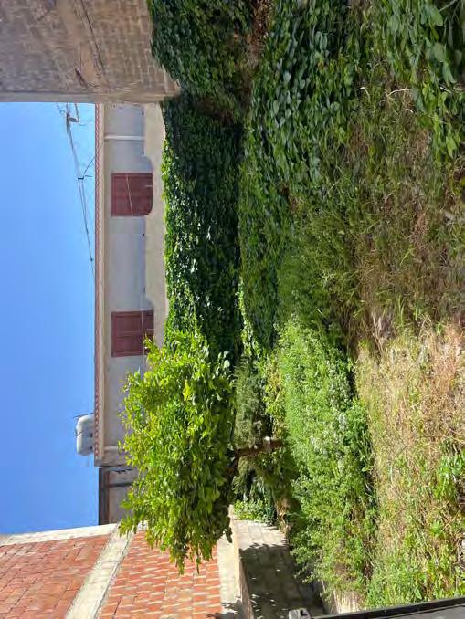 immobile terreno all'asta in via Prezzolini e via Tomasi di Lampedusa - 96019 Rosolini (SR) - 4