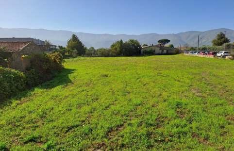immobile terreno all'asta in Montesarchio - 82016 Montesarchio (BN) - 3