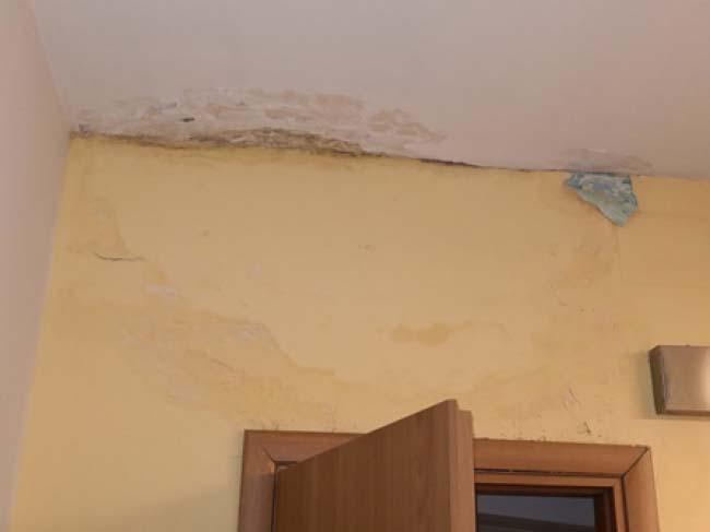 immobile negozio all'asta in via Regina Margherita, snc - 75017 Salandra, Matera - 2