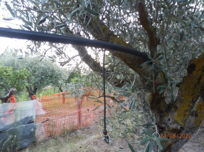immobile appartamento all'asta in Nova Siri, Via dei Caduti, 5 - 75020 Nova Siri, Matera - 3