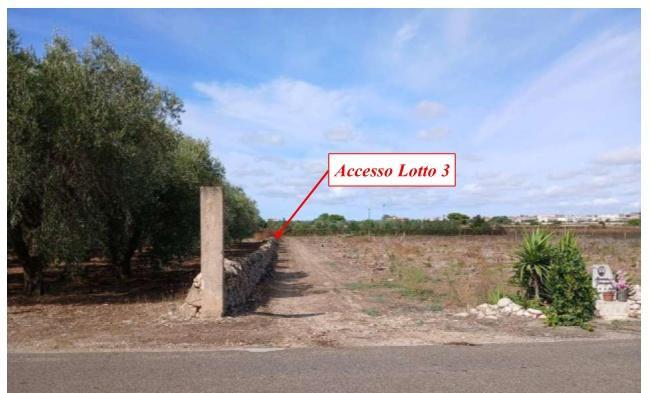 immobile terreno all'asta in 74020 Lizzano TA, Italia Lizzano, Taranto - 3