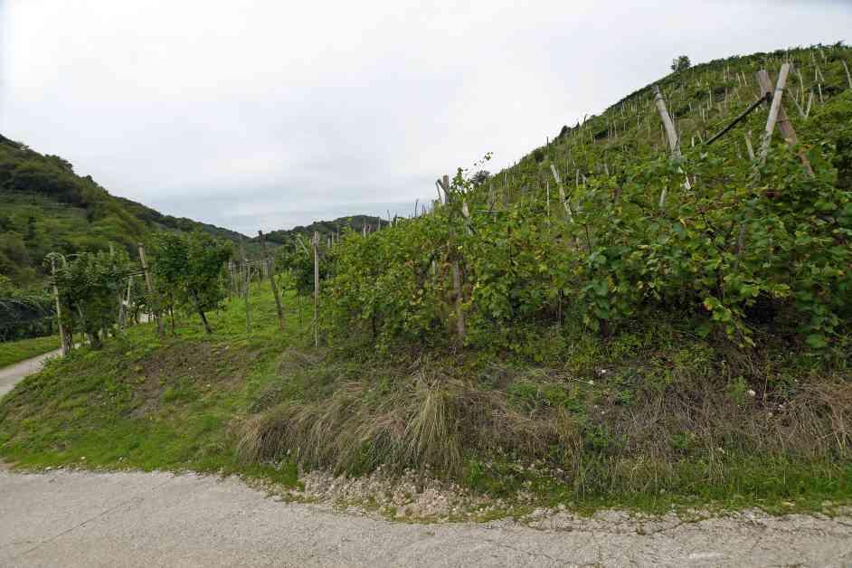 immobile terreno all'asta in Via Scandolera - 31010 Farra di Soligo (TV) - 1