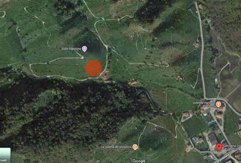 immobile terreno all'asta in Via Scandolera - 31010 Farra di Soligo (TV) - 2