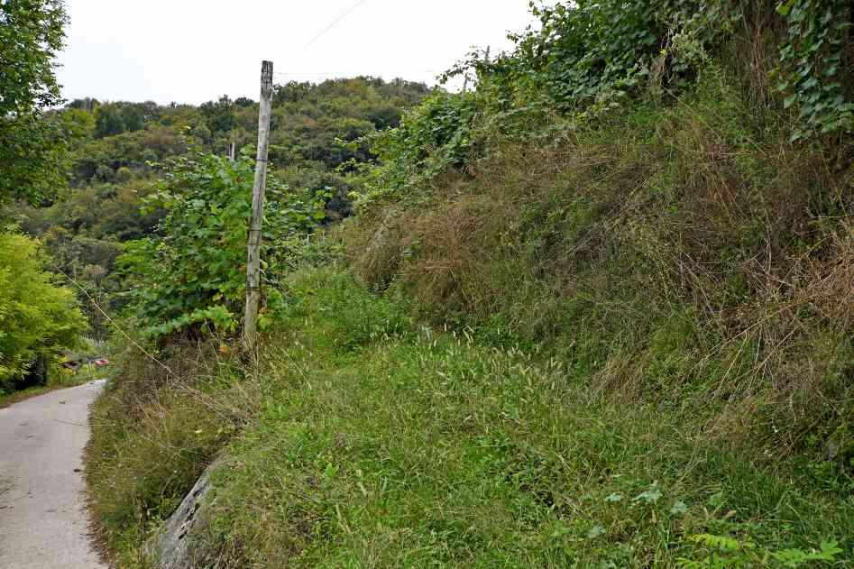 immobile terreno all'asta in Via Scandolera - 31010 Farra di Soligo (TV) - 4