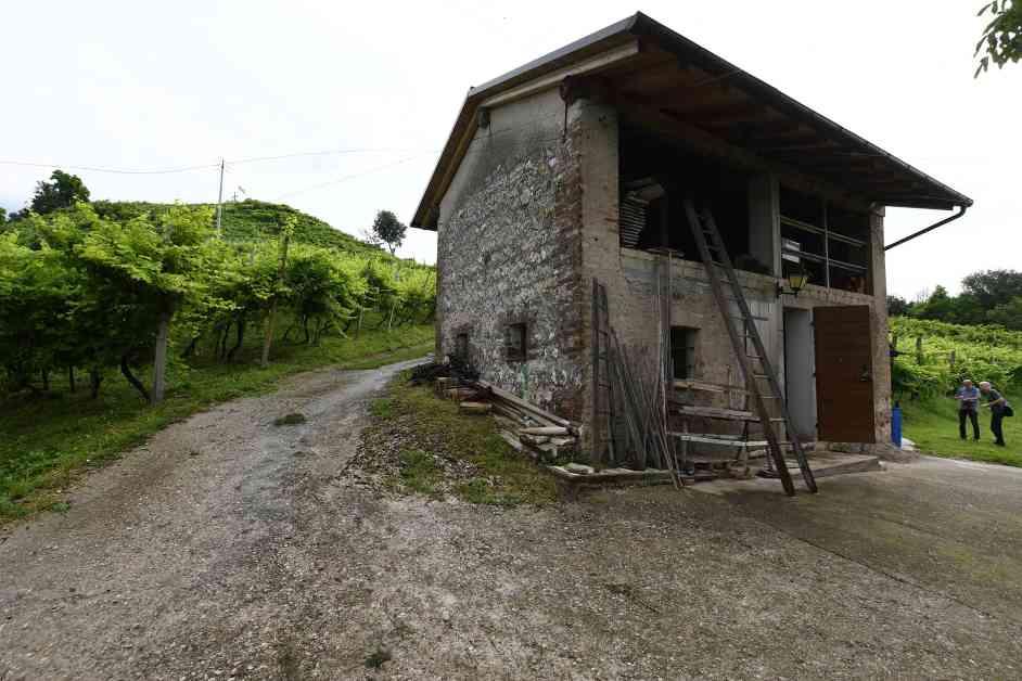 immobile terreno all'asta in Via Grazie Colbertaldo di Vidor - 31020 Vidor (TV) - 4