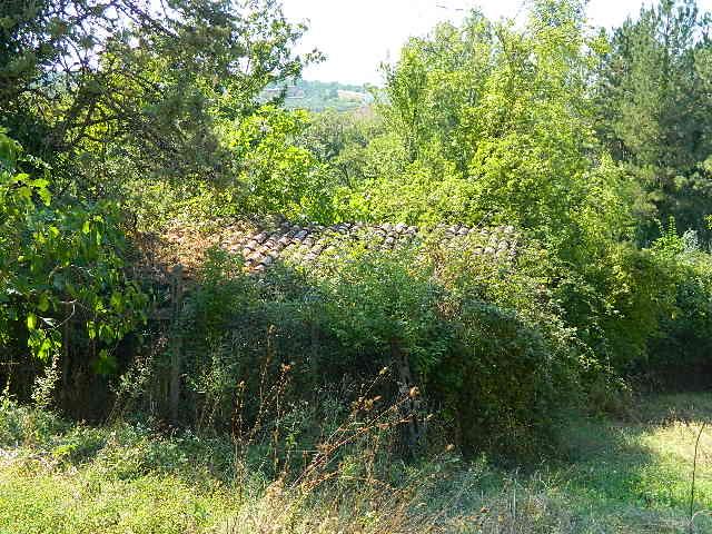 immobile terreno all'asta in Via Po' della Fratta, 06066 Piegaro PG, Italia Piegaro, Perugia - 3