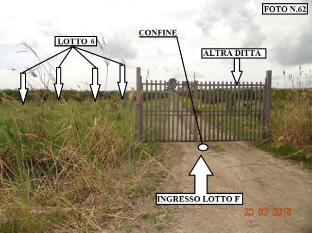 immobile terreno all'asta in contrada Polmone - 95040 Ramacca (CT) - 2