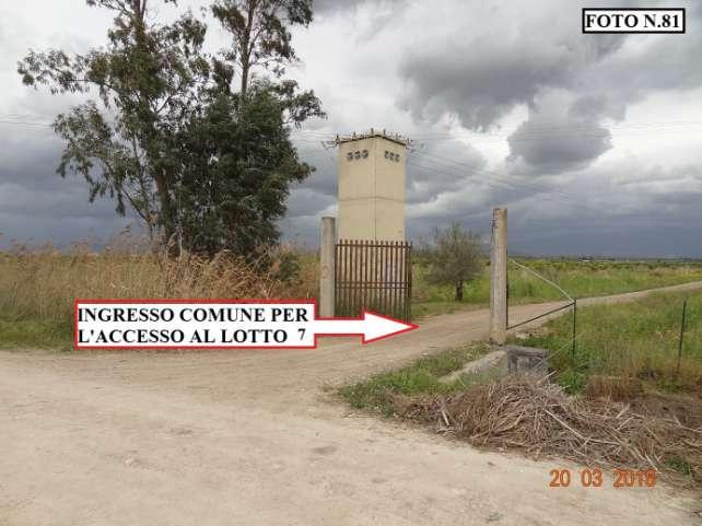 immobile terreno all'asta in contrada Polmone - 95040 Ramacca (CT) - 3