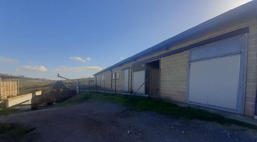 immobile magazzino all'asta in Contrada San Vito 3 - 86043 Casacalenda (CB) - 4