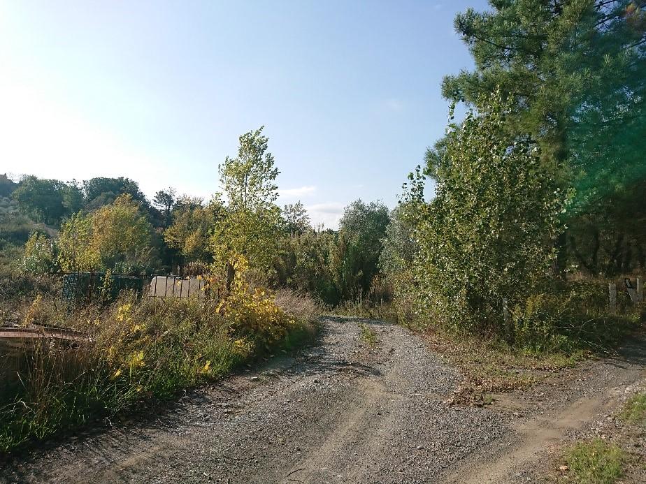immobile terreno all'asta in Localita' Comiti - Strada provinciale di Sanminiatese - 50050 Montaione (FI) - 1