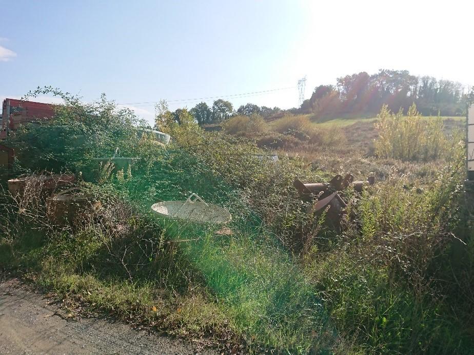 immobile terreno all'asta in Localita' Comiti - Strada provinciale di Sanminiatese - 50050 Montaione (FI) - 2