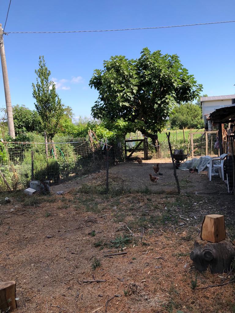 immobile appartamento all'asta in Via Nazionale Calore o Contrada Chiocca Tosta - 83036 Mirabella Eclano (AV) - 5