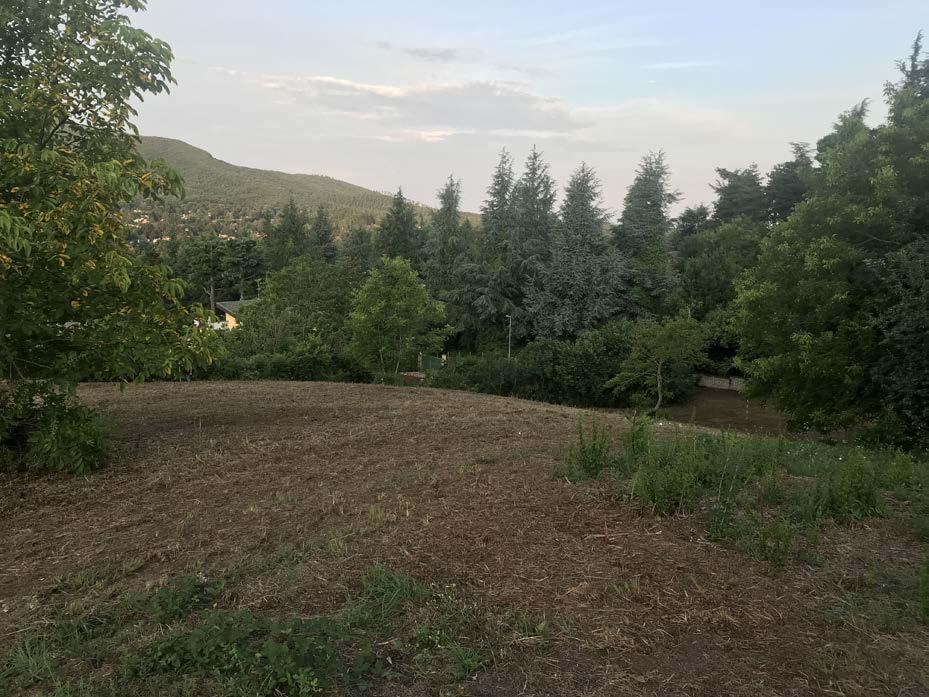 immobile terreno all'asta in Via Belmonte - Rocca Priora (RM) - 2