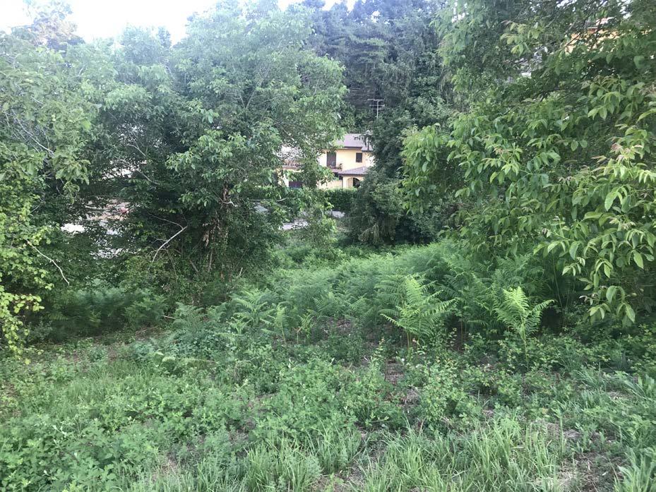 immobile terreno all'asta in Via Belmonte - Rocca Priora (RM) - 3
