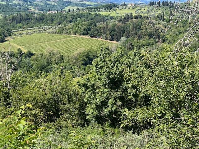 immobile terreno all'asta in Via Lucardese - 50025 Montespertoli (FI) - 2
