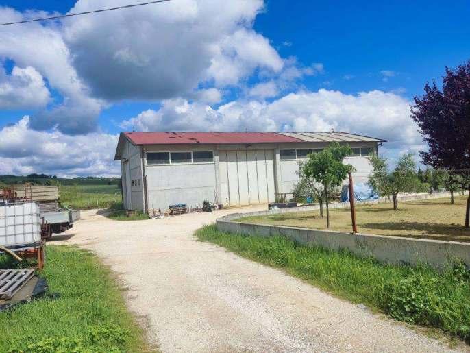 immobile magazzino all'asta in Strada Rocca delle Caminate, 6N - 47014 Meldola (FC) - 2