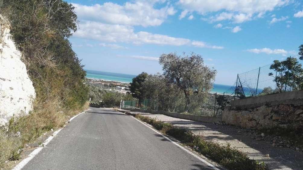 immobile terreno all'asta in contrada Zingarelle - 71019 Vieste (FG) - 1