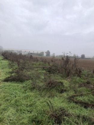 immobile terreno all'asta in Chignolo Po - 27013 Chignolo Po (PV) - 3
