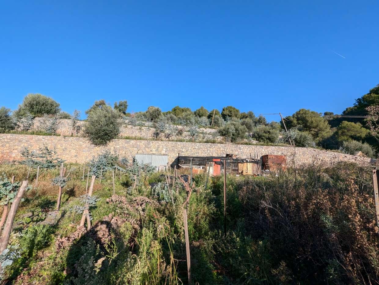 immobile terreno all'asta in Localita' Arveglio snc - 17031 Albenga (SV) - 2