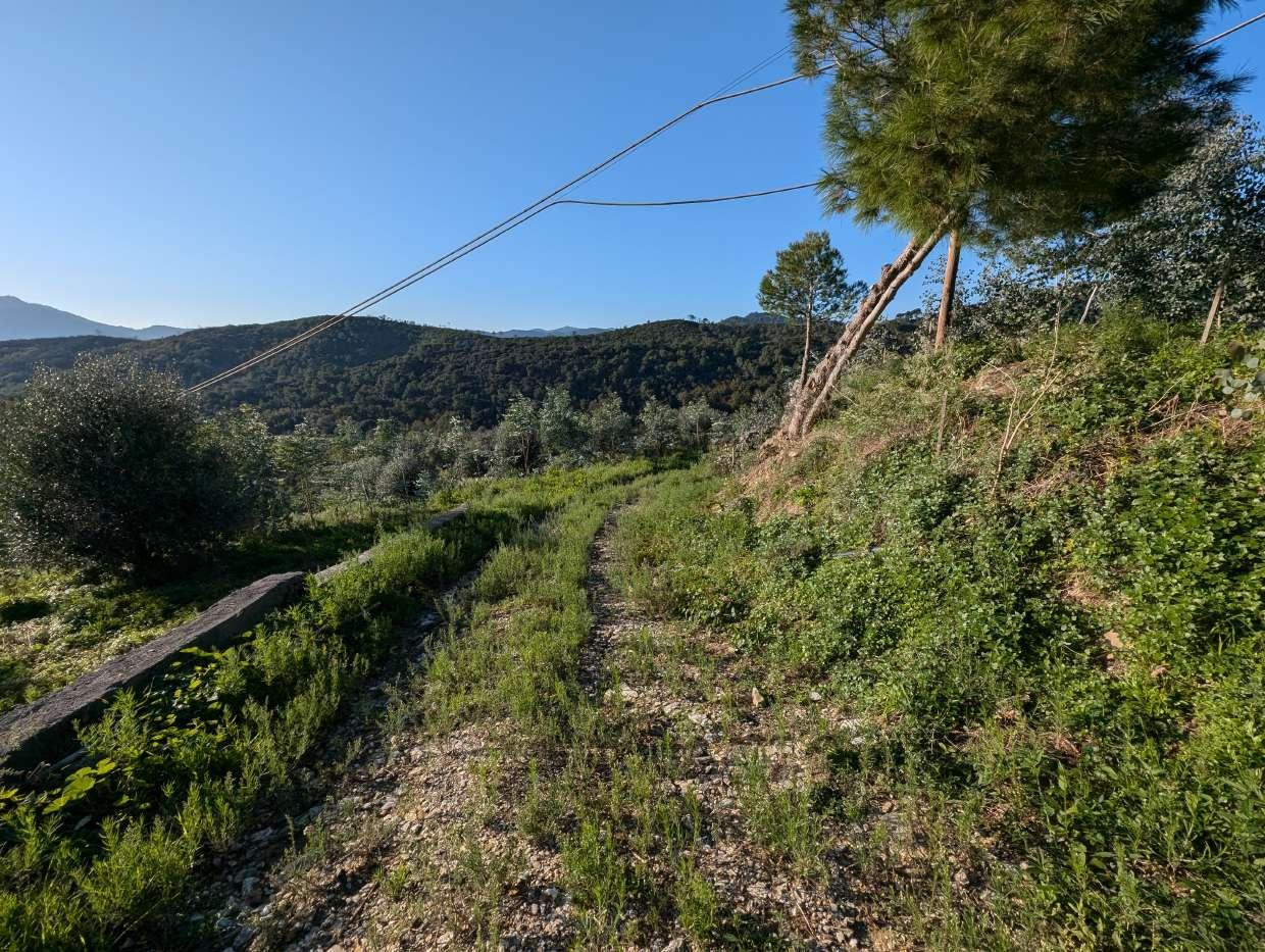 immobile terreno all'asta in Localita' Arveglio snc - 17031 Albenga (SV) - 4