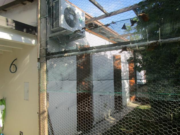immobile appartamento all'asta in Via Alfonso Lamarmora, 24, 46037 Governolo MN, Italia - 46037 Roncoferraro (MN) - 2