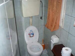 immobile appartamento all'asta in Via Dante, 221 - 45023 Costa di Rovigo (RO) - 4