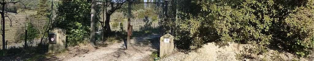 immobile appartamento all'asta in Via di novoli 1 - San Casciano in Val di Pesa (FI) - 5