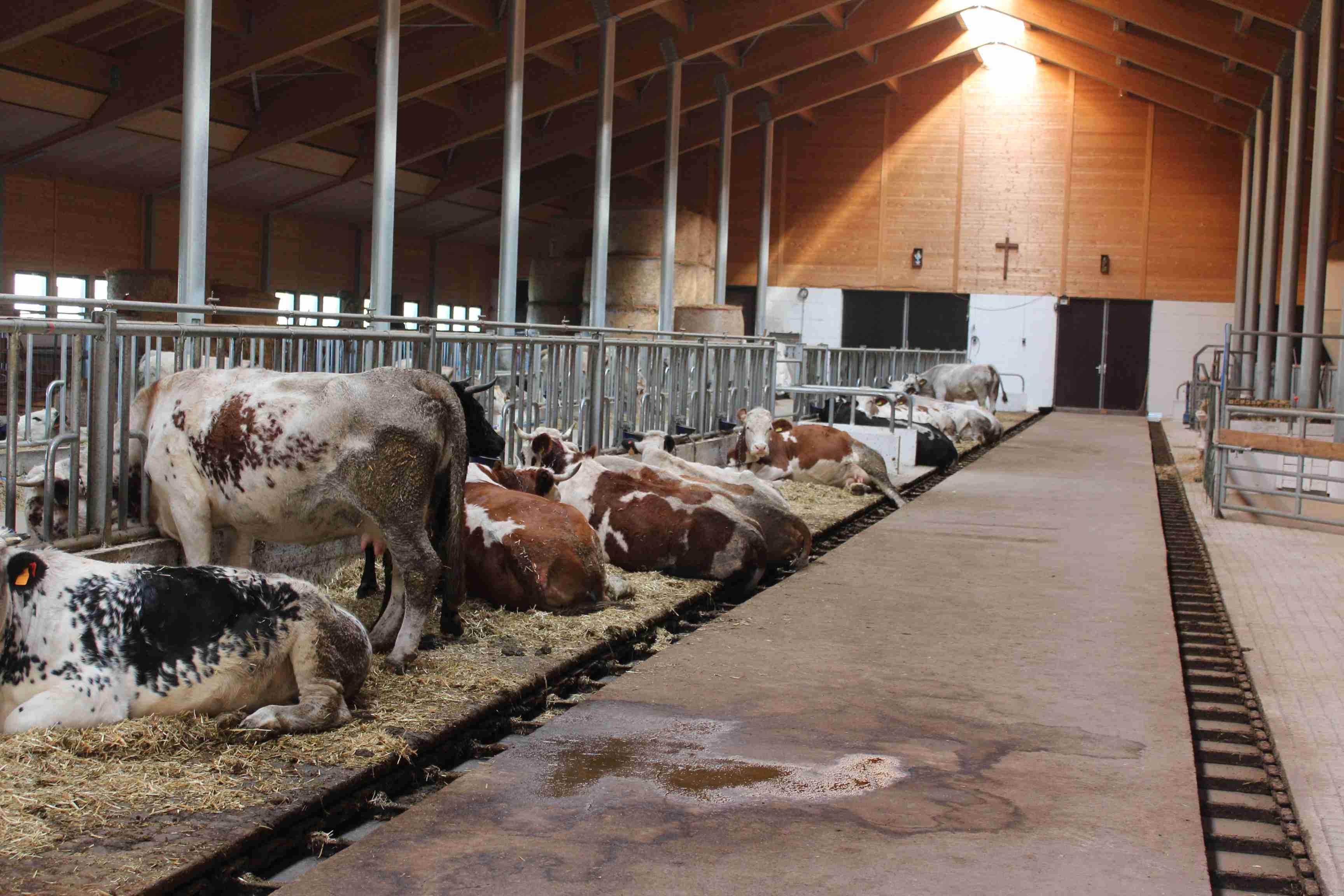 immobile appartamento all'asta in Frazione Bessen Alto, 10054 Sauze di Cesana TO, Italia Sauze Di Cesana, Torino - 4