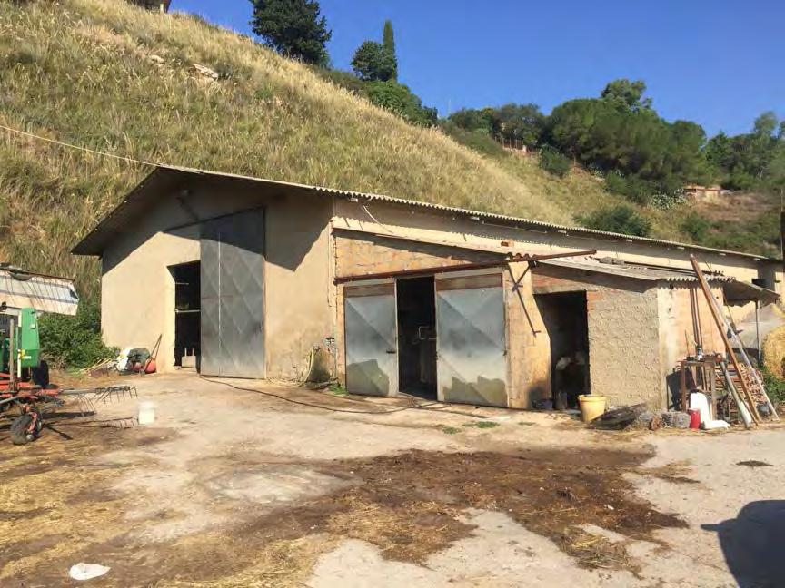 immobile rustico all'asta in Contrada mazzone-pollicarini snc - 94100 Enna (EN) - 5
