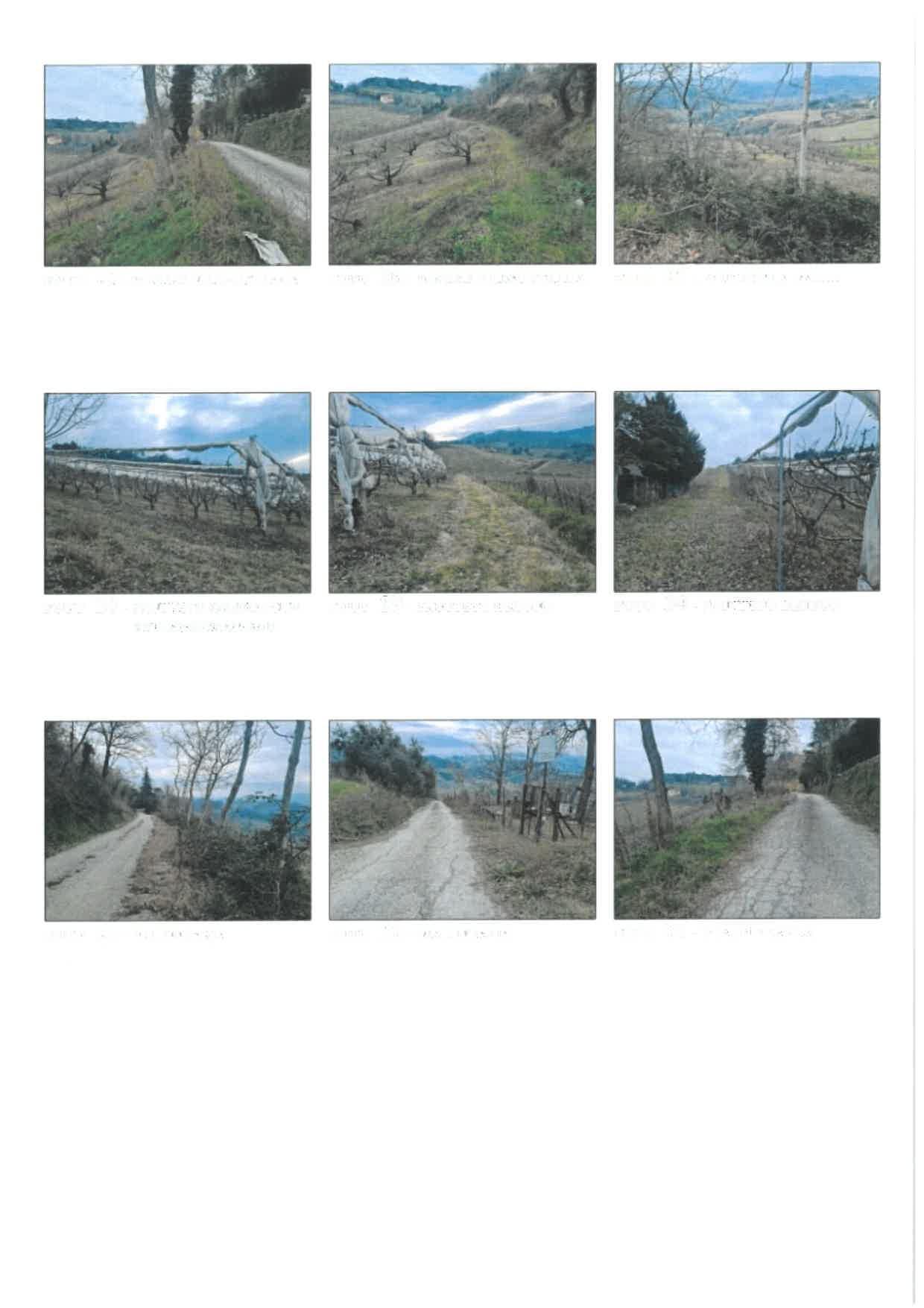 immobile terreno all'asta in località Montereale, Via Dugaria/Via Garampa - 47023 Cesena (FC) - 3