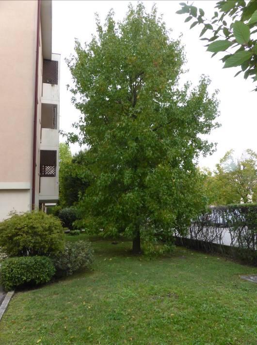 immobile appartamento all'asta in Via Antonio Segni, 3 - 31045 Motta di Livenza (TV) - 3