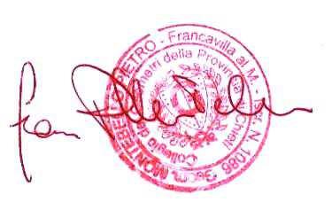 immobile capannone all'asta in Via Zona D - Produttiva snc - 66030 Arielli (CH) - 1