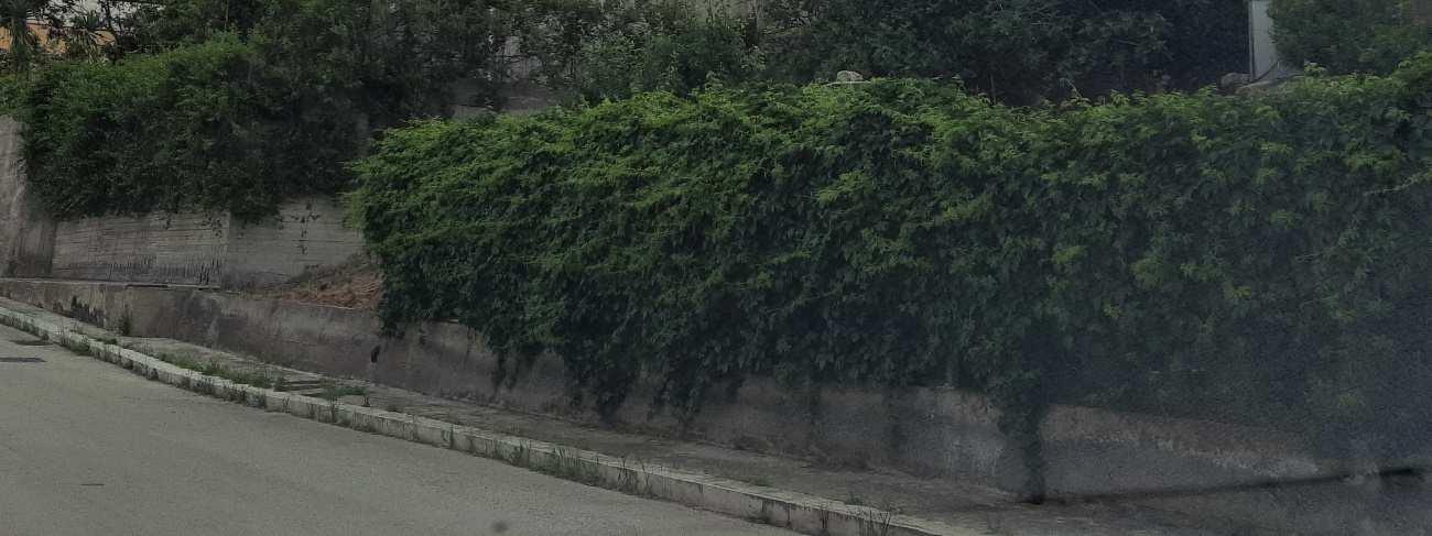 immobile appartamento all'asta in Via Martiri d'Ungheria 56 - 58 - 95040 Raddusa (CT) - 1