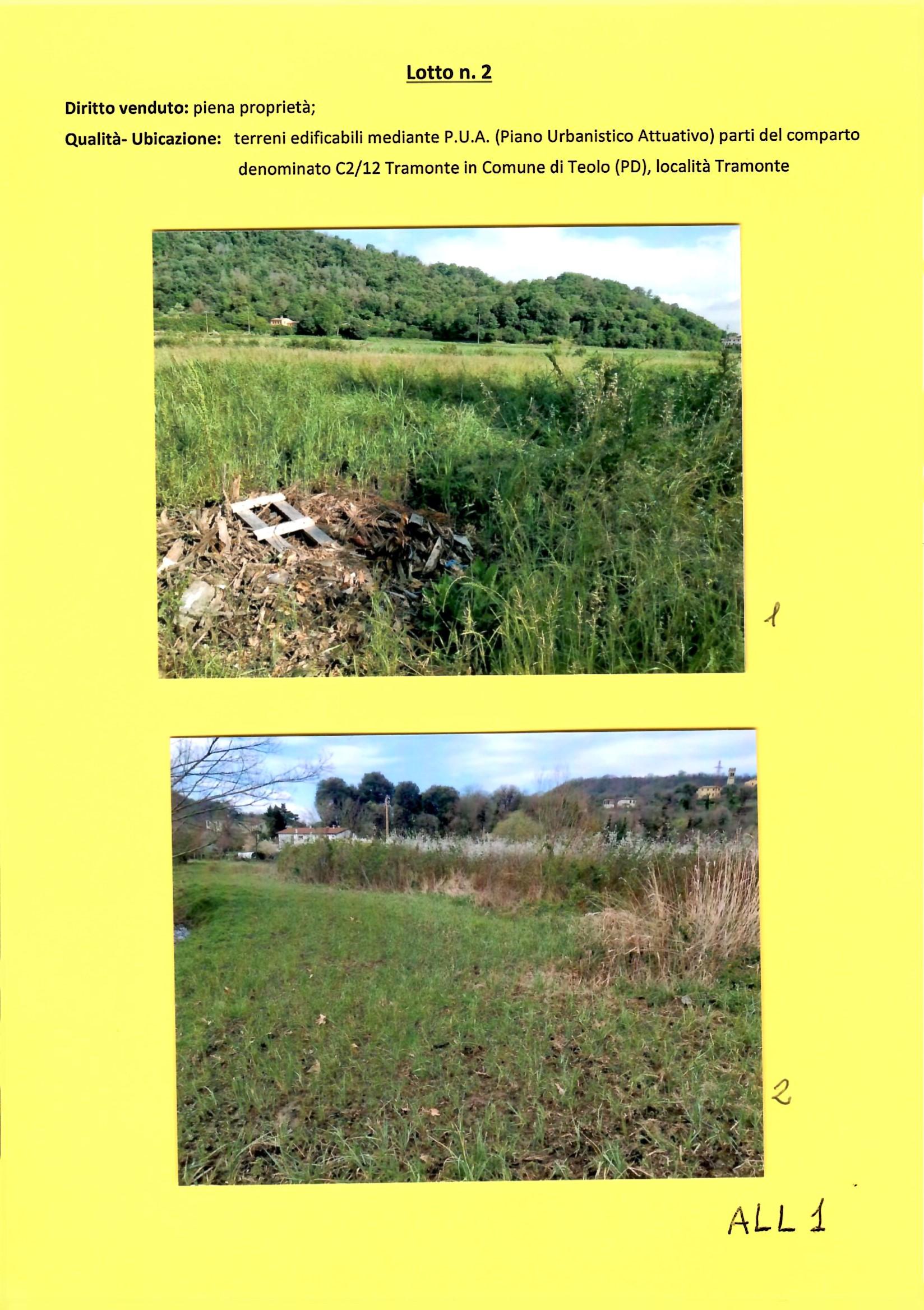 immobile terreno all'asta in Loc Tramonte zona ZTO C2 di espansione soggetta Piano Attuativo - 35037 Teolo (PD) - 1
