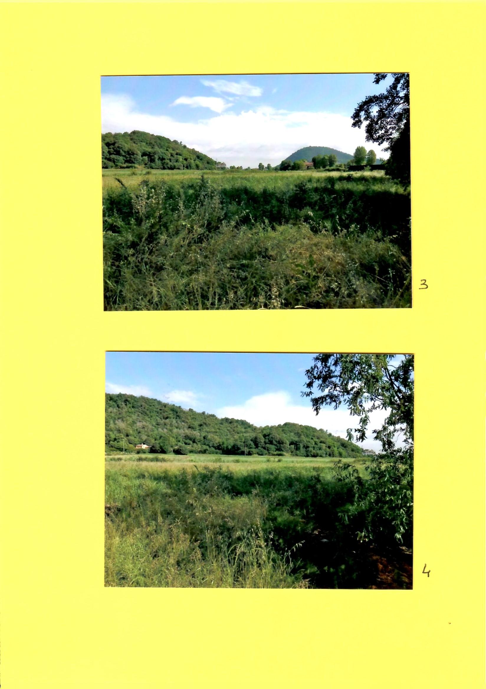 immobile terreno all'asta in Loc Tramonte zona ZTO C2 di espansione soggetta Piano Attuativo - 35037 Teolo (PD) - 2