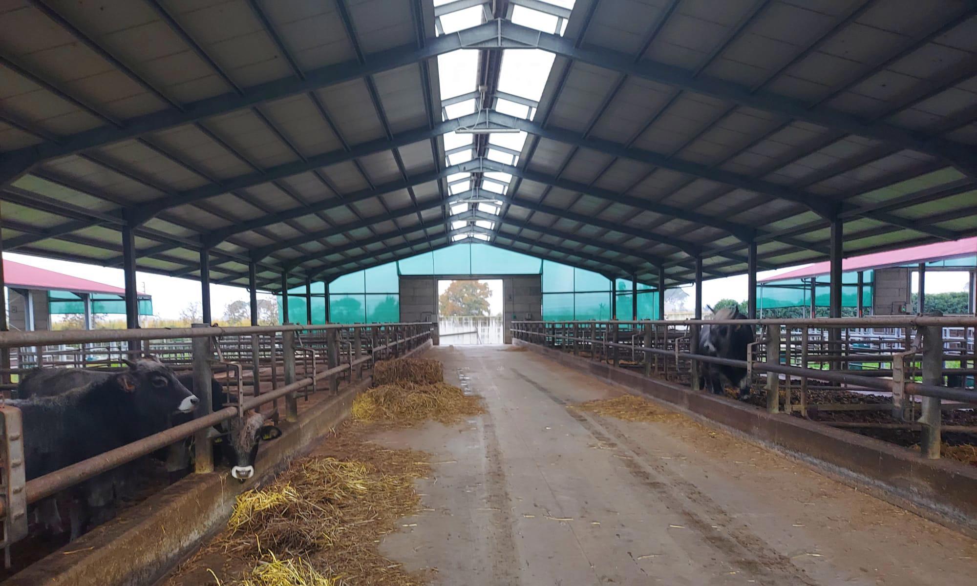 immobile attivita commerciale all'asta in SS 85 Venafrana, Presenzano CE, Italia - 81050 Presenzano (CE) - 2