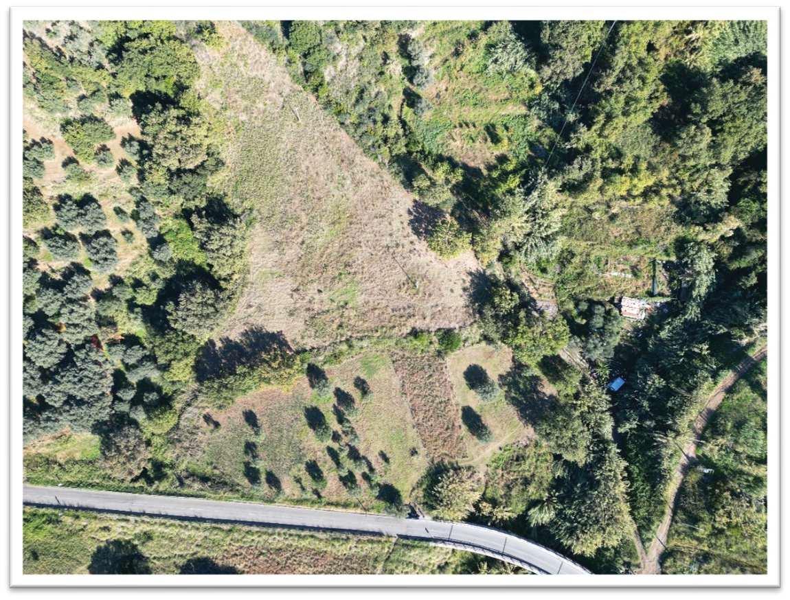 immobile terreno all'asta in via Panoramica - 87023 Diamante (CS) - 1