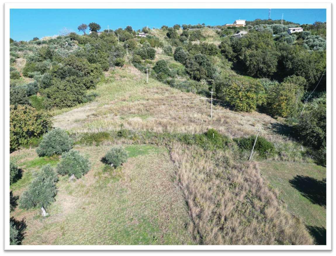 immobile terreno all'asta in via Panoramica - 87023 Diamante (CS) - 4