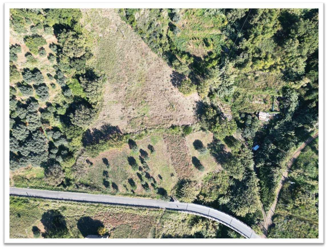 immobile terreno all'asta in via Panoramica - 87023 Diamante (CS) - 5