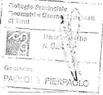 immobile terreno all'asta in 05031 Arrone (TR) - 4