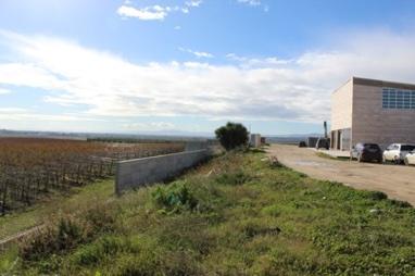 immobile terreno all'asta in CONTRADA RATINO - San Severo (FG) - 5