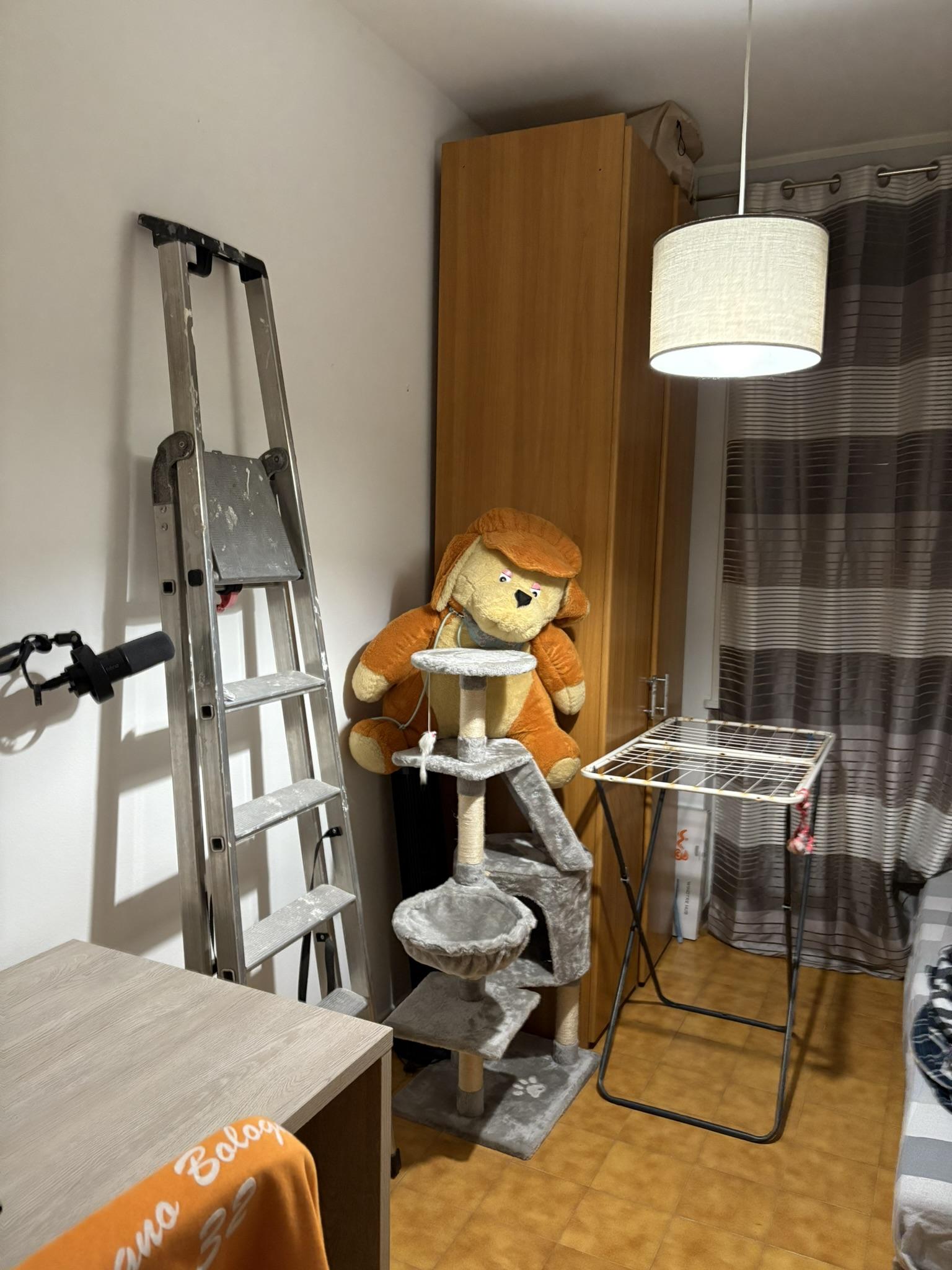 immobile appartamento all'asta in Frazione San Mauro Mare, via Giovanni da Verrazzano 13 - 47030 San Mauro Pascoli (FC) - 4