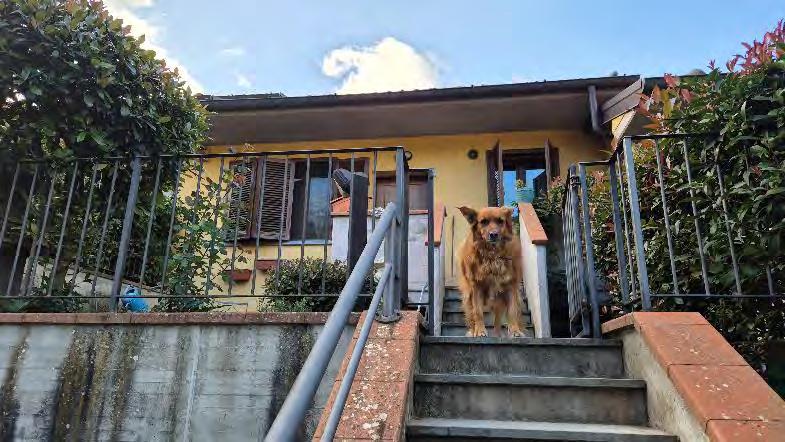 immobile villa all'asta in Località La Casa, n 251/g e n 251/h, 59024 Vernio PO, Italia Vernio, Prato - 4