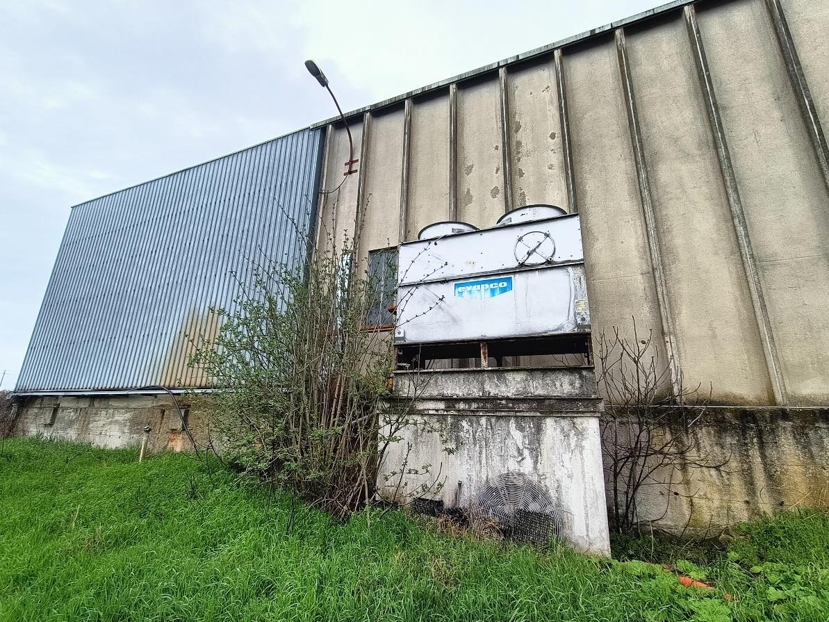 immobile attivita commerciale all'asta in Via Ponte di Ferro 143 - 06084 Bettona (PG) - 4