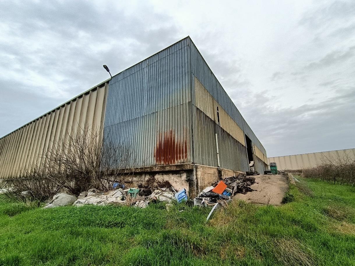 immobile attivita commerciale all'asta in Via Ponte di Ferro 143 - 06084 Bettona (PG) - 5