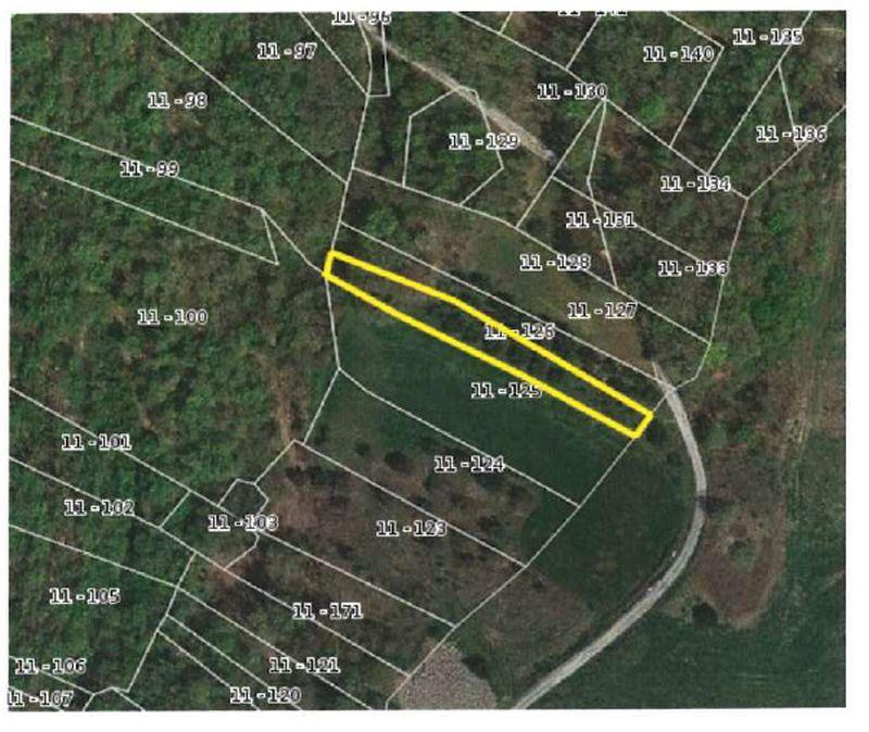 immobile terreno all'asta in 66019 Torricella Peligna CH, Italia Torricella Peligna, Chieti - 1