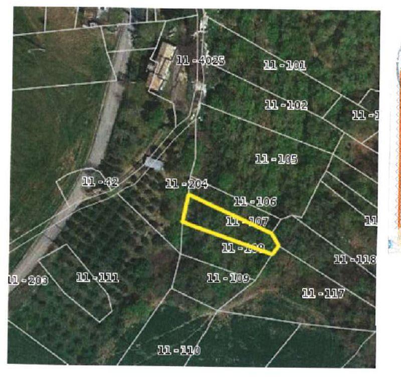 immobile terreno all'asta in 66019 Torricella Peligna CH, Italia Torricella Peligna, Chieti - 5