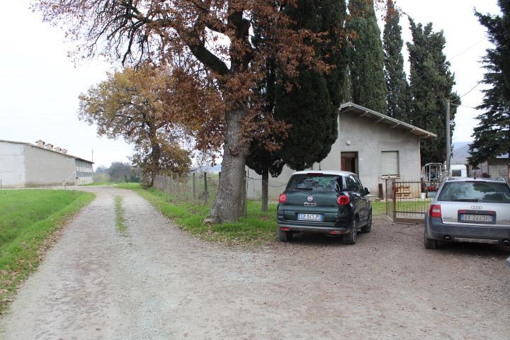 immobile palazzo all'asta in Str del Francolini n 5, 47014 Meldola FC, Italia Meldola, Forlì-Cesena - 2
