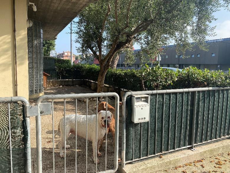 immobile appartamento all'asta in Via Solferino 34/1 - Pesaro (PU) - 3